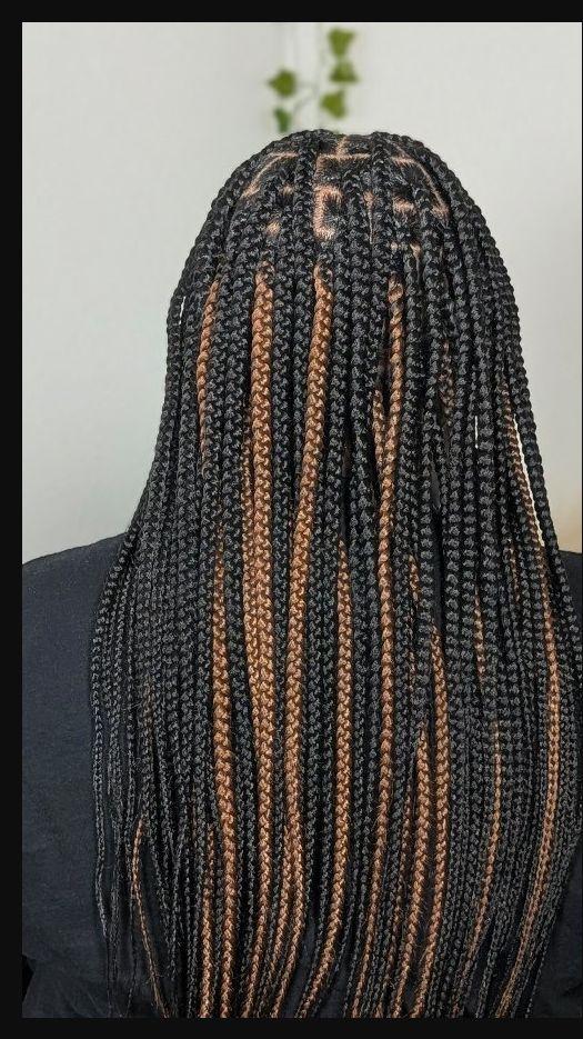 Protective braided hairstyle with detailed parting